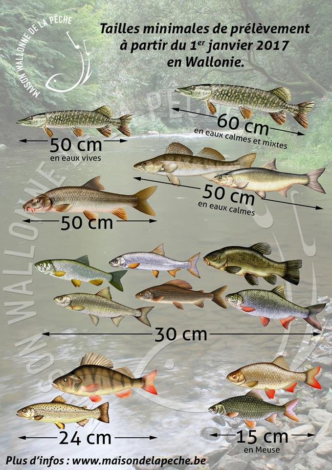 Le Petit Larousse De La Pêche En Eau Douce